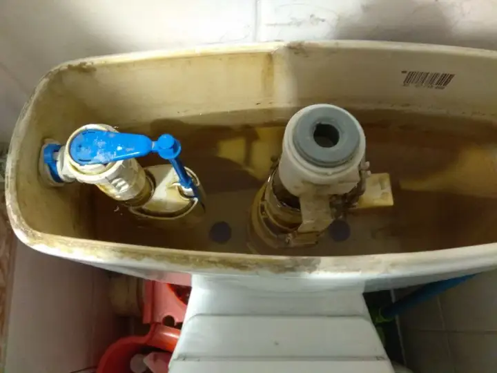 Wnętrze spłuczki z widocznym zaworem spustowym do spłuczki i mechanizmem doprowadzającym wodę.