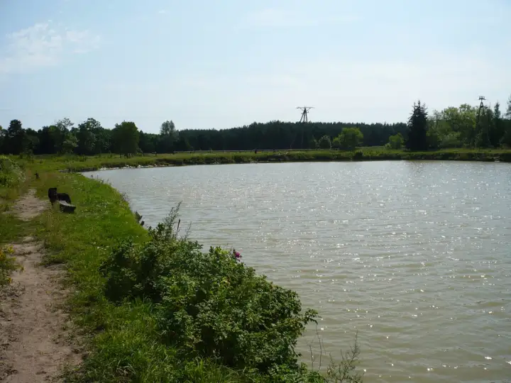 Stare Bosewo: Przewodnik po łowisku U Piwka Cennik, ryby, dojazd
