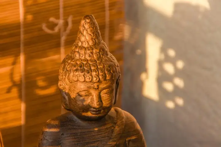 Posąg Buddy w cieniu, symbolizujący pozytywne skutki modlitwy dla zdrowia psychicznego i fizycznego, potwierdzone dowodami naukowymi.