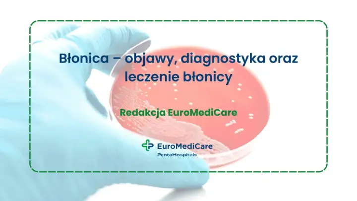 Rękawiczka medyczna trzyma szalkę Petriego z kulturą bakteryjną. Tytuł: Błonica – objawy, diagnostyka oraz leczenie błonicy.