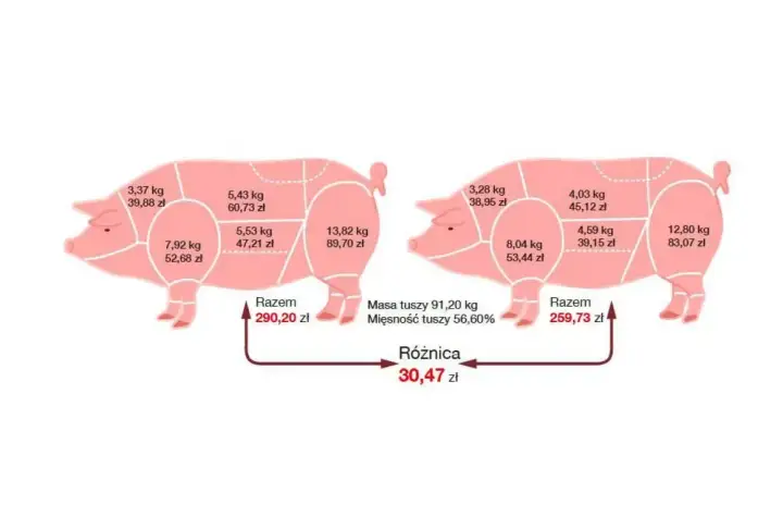 Gdzie jest polędwica u świni - Jak ją rozpoznać i nie przesuszyć?