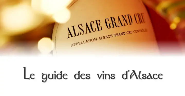 Etichetta di "Alsace Grand Cru" su una bottiglia, con testo "Le guide des vins d'Alsace" in basso.