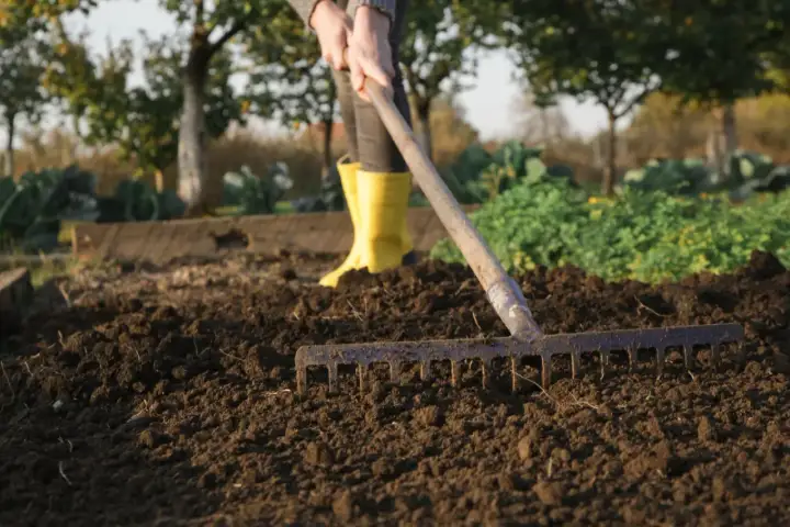 Osoba w żółtych kaloszach grabi ziemię pod warzywa. W tle widać drzewa i inne uprawy.