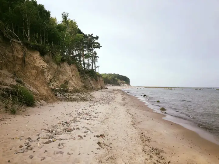 "Na jednej z dzikich plaż": Historia hymnu lat 90.