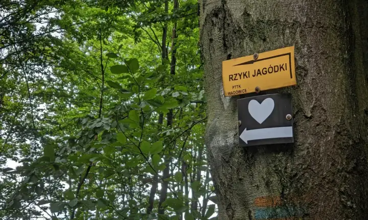 Leskowiec - który szlak wybrać i czego się po nim spodziewać