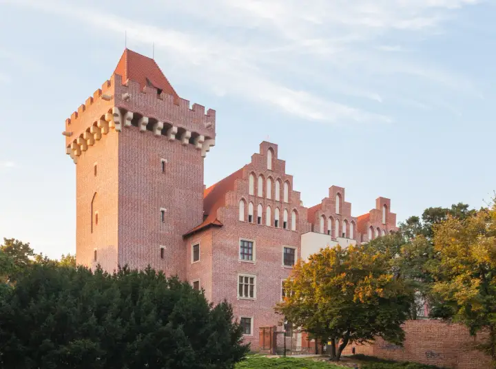 Zamek królewski w Poznaniu – fascynująca historia i architektura tej perły