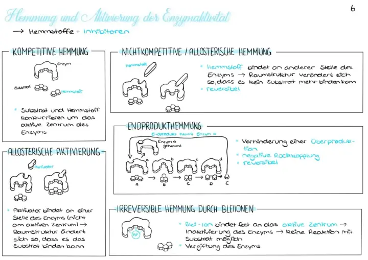 Nicht kompetitive Hemmung: Hemmstoff bindet an anderer Stelle des Enzyms, verändert dessen Raumstruktur, sodass kein Substrat mehr binden kann. Reversibel.