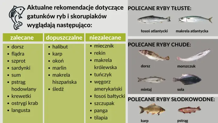 Zalecane, dopuszczalne i niezalecane nazwy ryb alfabetycznie. Tłuste, chude i słodkowodne ryby polecane do spożycia.