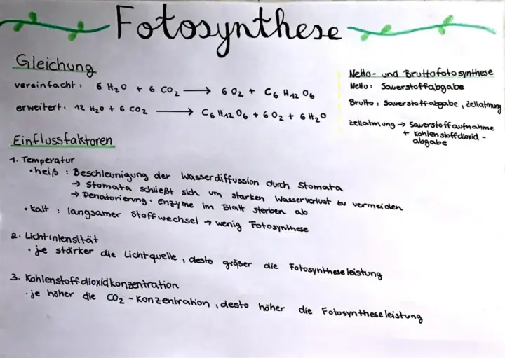Die Fotosynthese-Gleichung wird erklärt, mit Einflussfaktoren wie Temperatur, Lichtintensität und CO2-Konzentration.