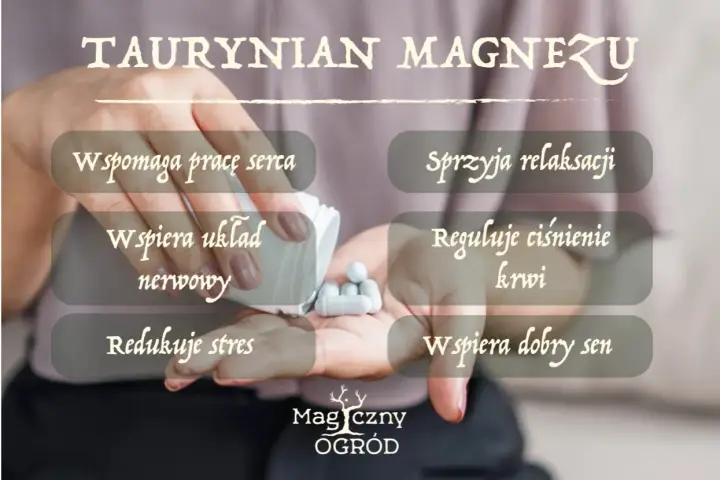 Taurynian magnezu wspiera serce, układ nerwowy, relaksację i sen. Choć nie ma tu mowy o skutkach ubocznych, warto pamiętać o jego dobroczynnym działaniu.