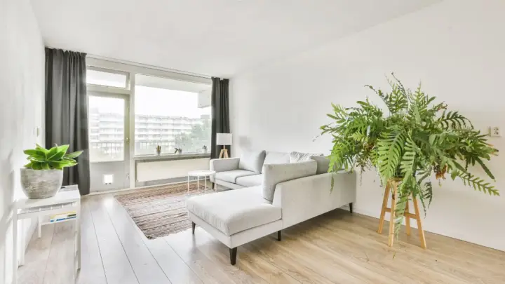 Soggiorno in casa stile nordico con divano grigio, tappeto a righe, piante verdi e grandi finestre.