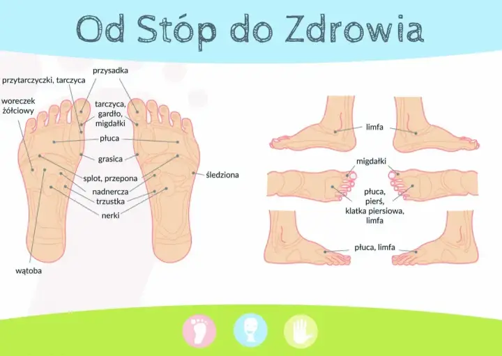 Schemat stóp z punktami do akupresury. Pokazuje punkty odpowiadające narządom: płuca, nerki, wątroba, migdałki.