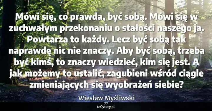 Las skąpany w słońcu. Cytat: "Aby być sobą, trzeba być kimś, to znaczy wiedzieć, kim się jest. A jak możemy to ustalić, zagubieni wśród ciągle zmieniających się wyobrażeń siebie?" Wiesław Myśliwski. Wiem że nic nie wiem.