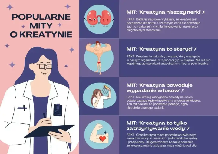 Grafika obala mity o kreatynie, pokazując, że jest ona zdrowa i bezpieczna dla nerek, nie jest sterydem, nie powoduje wypadania włosów ani nadmiernego zatrzymywania wody.