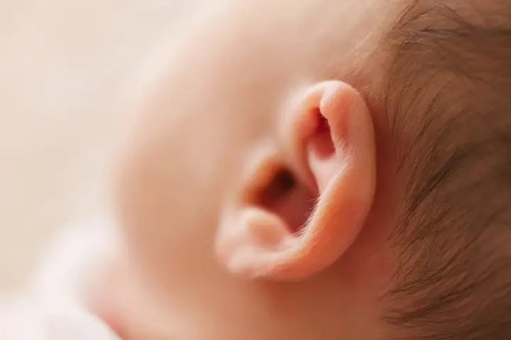 Delikatne ucho niemowlęcia, które może być dotknięte zapaleniem ucha zewnętrznego.