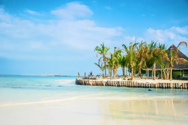Piękna plaża z palmami i drewnianym molo. Zastanawiasz się, ile się leci na Zanzibar? To raj na ziemi!