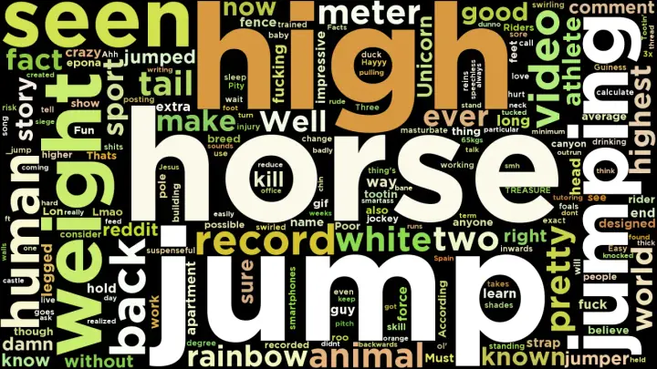 Rekord skoku na koniu, czyli "high jump" w chmurze słów. Widoczne słowa to m.in. "horse", "jump", "record", "white", "two", "rider".