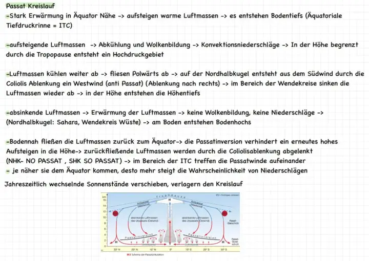 Schema des Passatkreislaufs, erklärt im Erdkunde Unterricht. Zeigt aufsteigende und absinkende Luftmassen, ITC und Passatinversion.