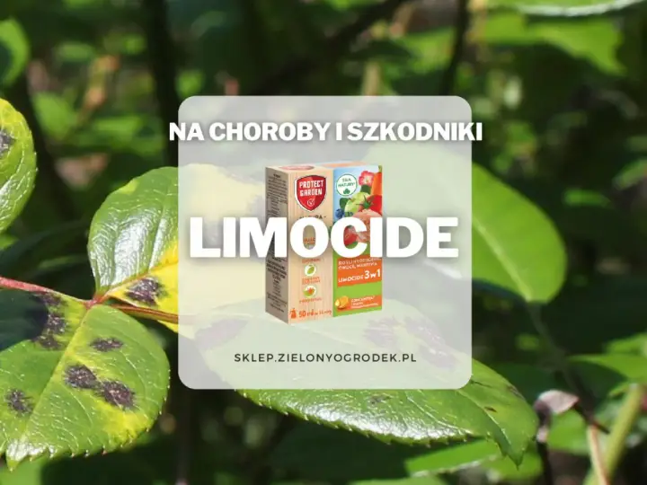 Ratunek dla roślin! Limocide zwalcza choroby i szkodniki, przywracając im zdrowy wygląd.