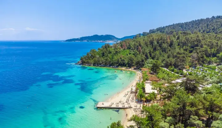 Malownicza plaża z turkusową wodą i sosnowym lasem. Idealne miejsce na relaks i odkrywanie atrakcji Thassos.