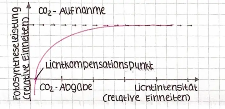 Diagramm zeigt die Abhängigkeit der Fotosynthese von außenfaktoren: CO₂-Aufnahme steigt mit Lichtintensität bis zum Sättigungspunkt.