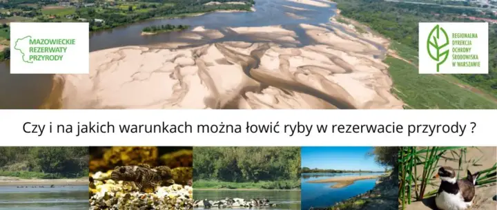 Krajobraz rzeki z piaszczystymi łachami, przypominający Jezioro Czerniakowskie. Poniżej zdjęcia ptaków, ryb i roślinności.