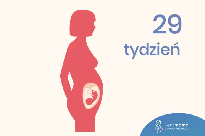 Ilustracja pokazuje sylwetkę kobiety w ciąży, z widocznym płodem w brzuchu. Obok widnieje napis "29 tydzień ciąży".