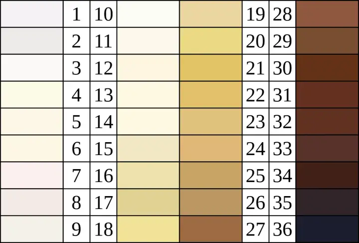 Farbpalette von hell bis dunkel, die die Vielfalt der Hauttöne darstellt, ein Beispiel für polygenie.