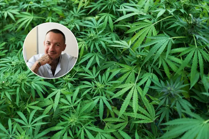 Mężczyzna z tatuażami w okręgu na tle gęstej roślinności konopi. Dyskusja o legalizacji marihuany nabiera tempa.