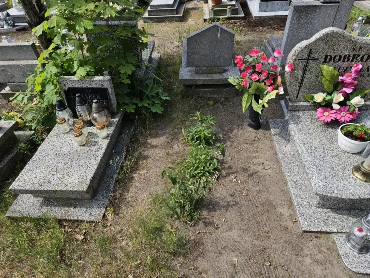 Nagrobek z kwiatami i zniczami. Grobonet nowa sól - miejsce pamięci.