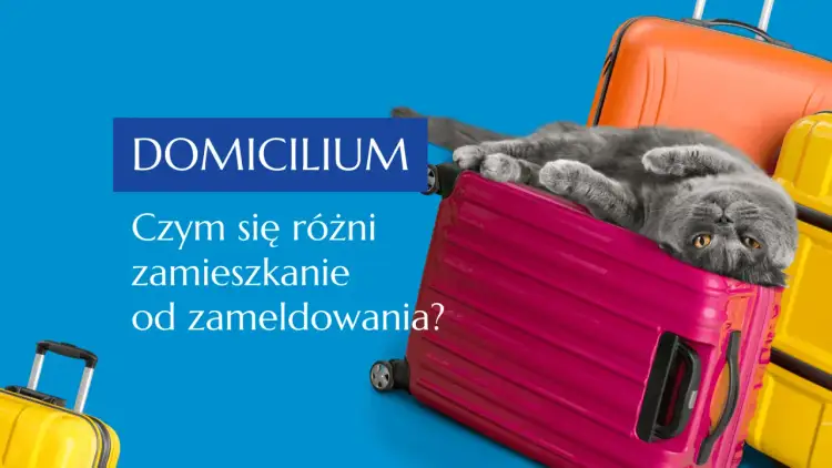 Szary kot leży na różowej walizce, otoczony innymi bagażami. Tekst pyta o różnicę między zamieszkaniem a zameldowaniem, czyli o adres zamieszkania.