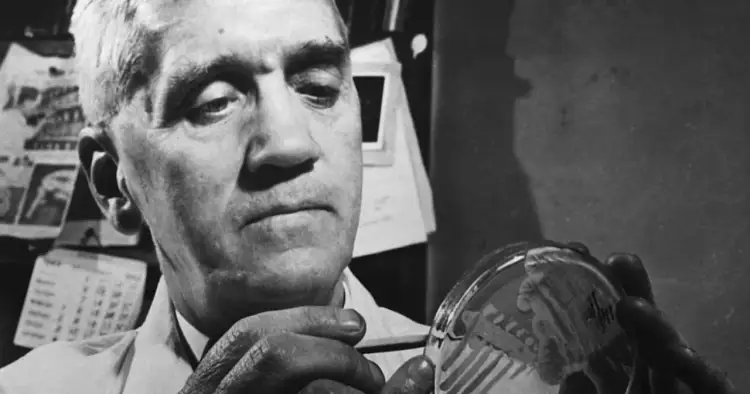 Alexander Fleming, który wynalazł antybiotyk, bada próbówkę z pleśnią.