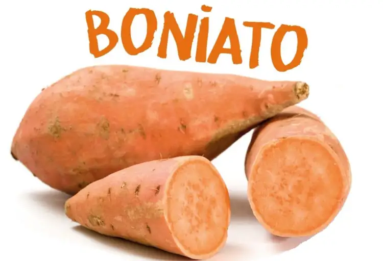Boniato, un alimento saludable que los perros pueden comer.
