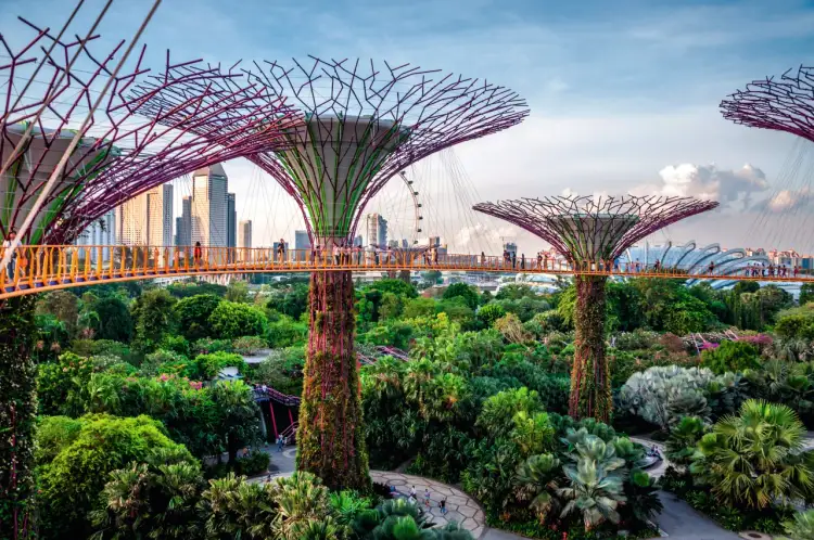 Superdrzewa w Gardens by the Bay, Singapur. To miasto-państwo leży w Azji Południowo-Wschodniej.
