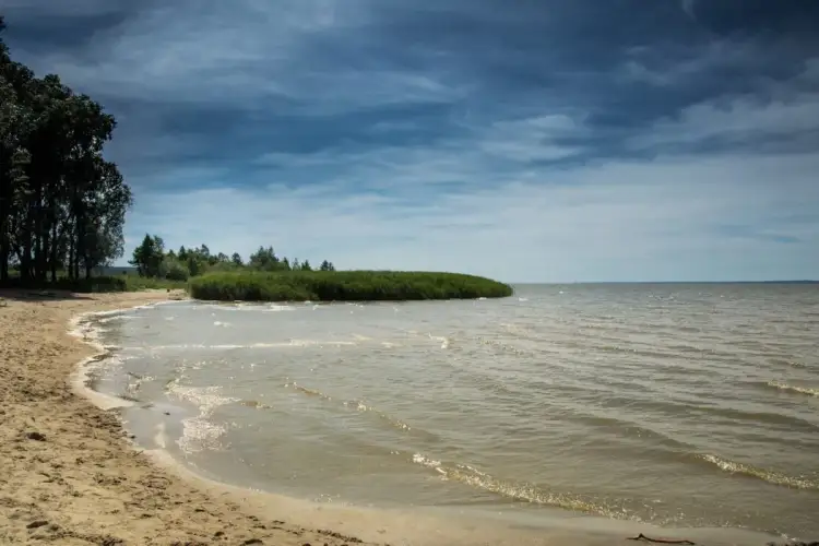 Piękna działka z linią brzegową jeziora. Piaszczysta plaża, wysoka trawa i drzewa tworzą malowniczy krajobraz.