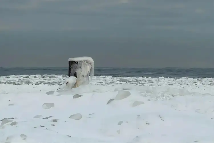 Zamarznięty słup na plaży, pokryty lodem, pokazuje, dlaczego morze zamarza zimą. Woda zamienia się w lód, tworząc zimowy krajobraz.