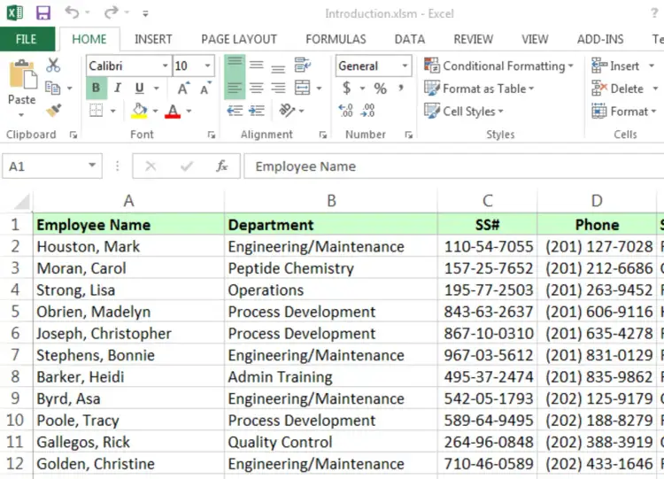 Fragment arkusza kalkulacyjnego Excel z danymi pracowników: imię, dział, SS#, telefon.