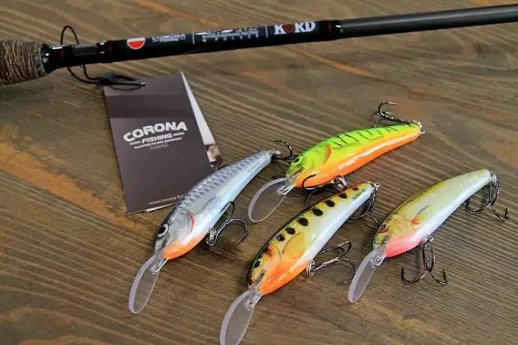 Najlepsze przynęty na suma - uniknij błędów i łów skutecznie