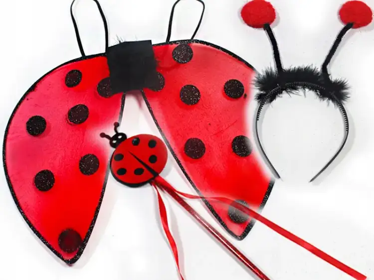 Jak zrobić strój biedronki - proste kroki i materiały do DIY