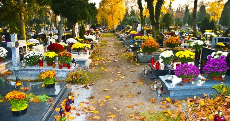 Cmentarz w Polsce: co musisz wiedzieć? Od historii po e-groby