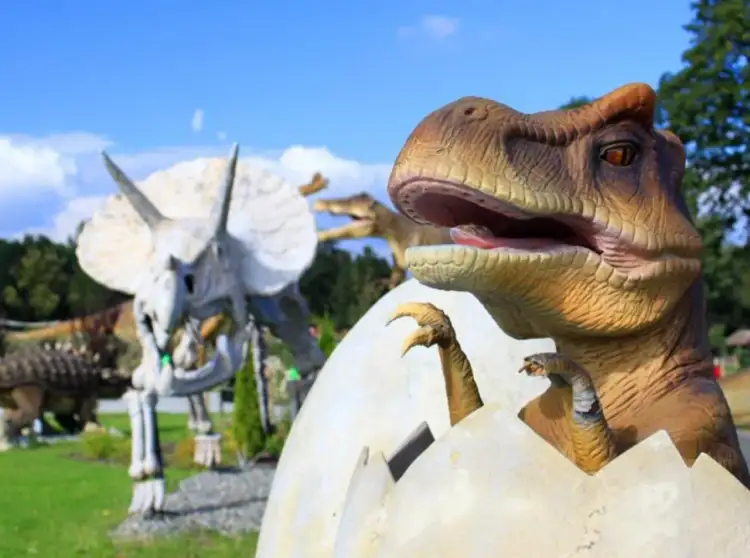 Dream Park Ochaby 2026: Ceny, atrakcje, godziny. Czy warto jechać?