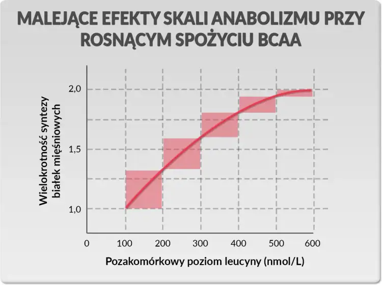 Wykres pokazuje malejące efekty anaboliczne przy rosnącym spożyciu BCAA. Synteza białek mięśniowych rośnie wraz z poziomem leucyny, ale coraz wolniej.