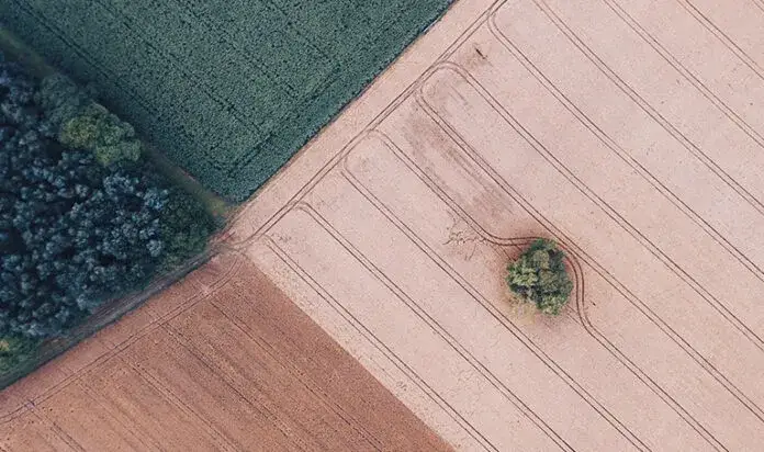 Jak szybko znaleźć numery działek i uniknąć niepotrzebnych problemów