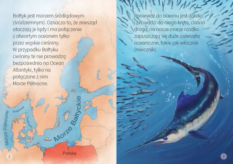 Mapa Bałtyku i Morza Północnego. Na prawo ryba miecznik z ławicą mniejszych ryb. Czy morze bałtyckie łączy się z oceanem? Tak, przez wąskie cieśniny.