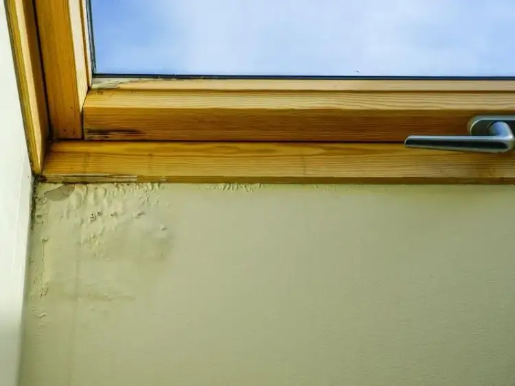 Zacieki na elewacji pod parapetem - skuteczne sposoby naprawy