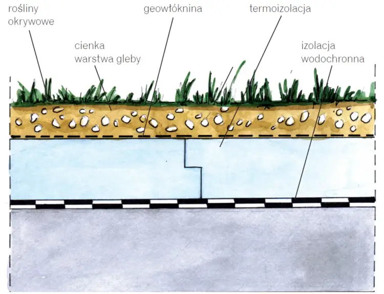 Jak zrobić taras na dachu garażu – uniknij najczęstszych błędów
