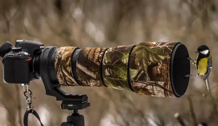 Najlepsze obiektywy do Nikon D3300, które poprawią Twoje zdjęcia