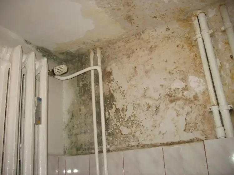 Hydroizolacja łazienki: Co daje "iso" i dlaczego jest kluczowe?