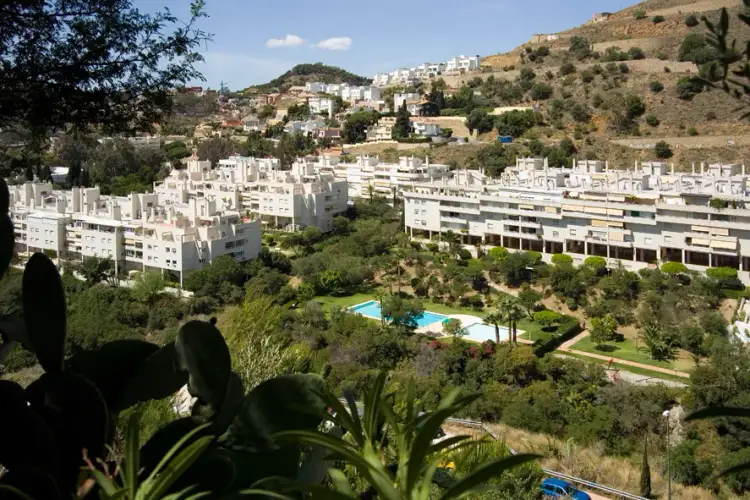 Todo lo que necesitas saber sobre la urbanización El Limonar