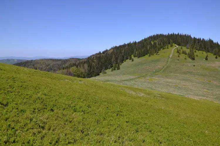 Bacówka na Rycerzowej: Kompletny przewodnik. Nocleg, szlaki, racuchy!